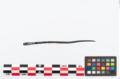 Foto von Bronzerollenkopfnadel (NHMW-PRAE-026395)